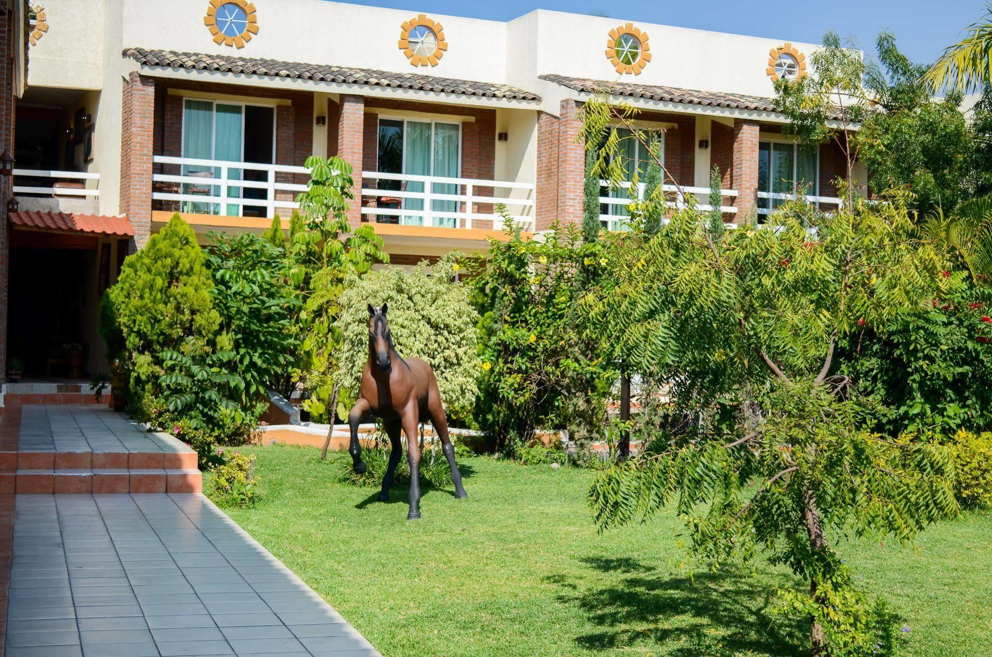 Quinta La Estampida Hotel Xochitepec Exterior foto